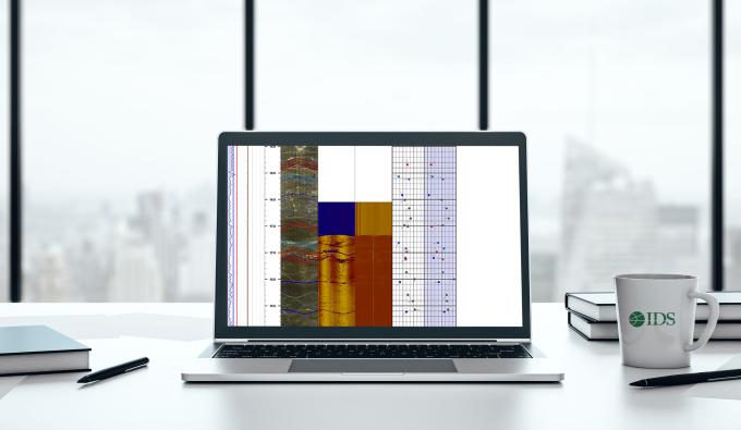 Geophysical Logging